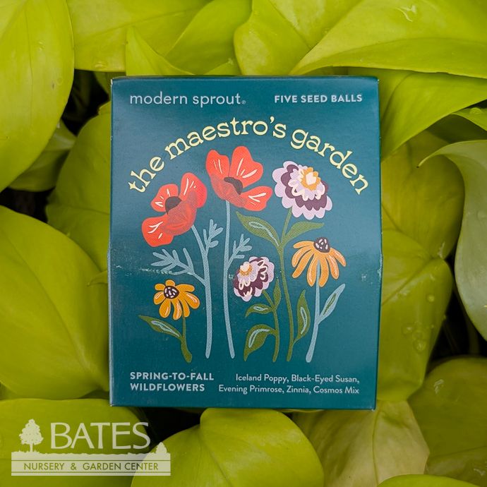 The Maestro's Garden Flower Seed Balls - Bespoke Blooms 5/pk