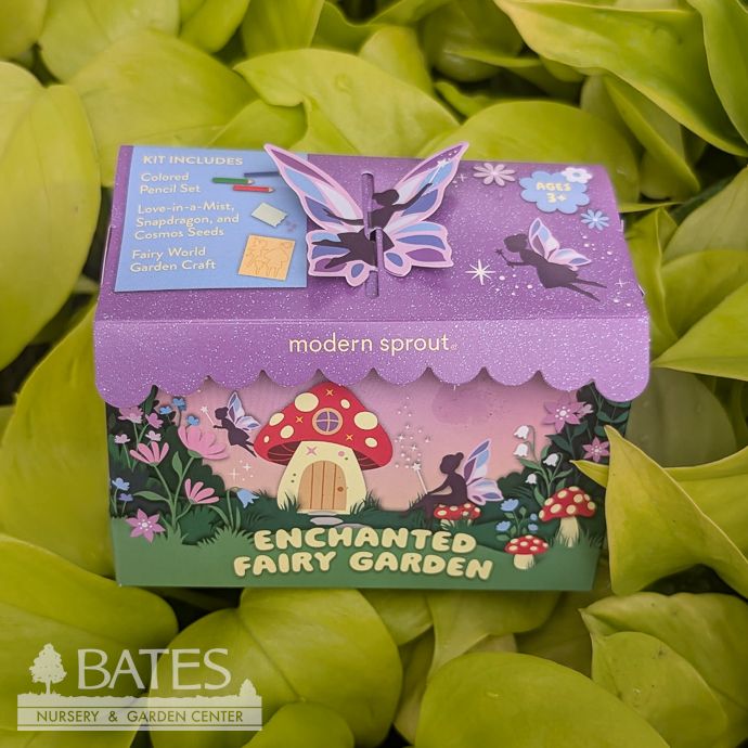 Enchanted Fairy Garden Flower Seed Kit