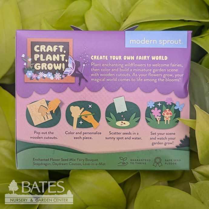Enchanted Fairy Garden Flower Seed Kit