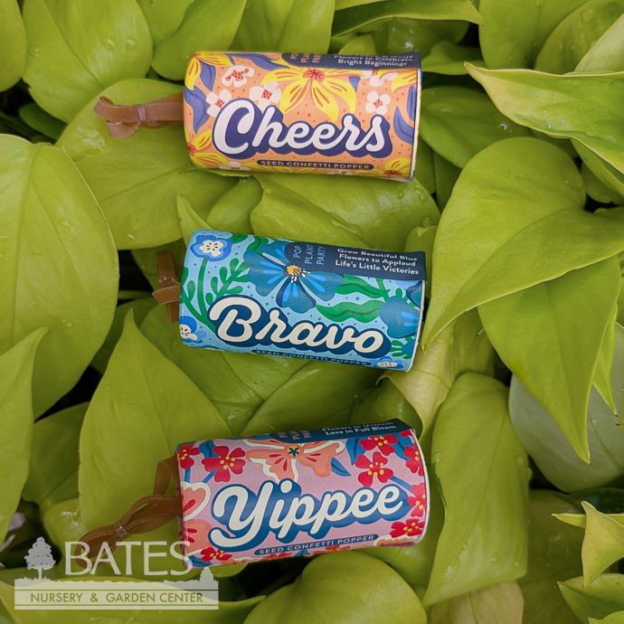 Cheers Seed Confetti Poppers - Yellow &amp; White Flowers