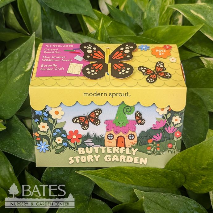 Butterfly Story Garden Flower Seed Kit