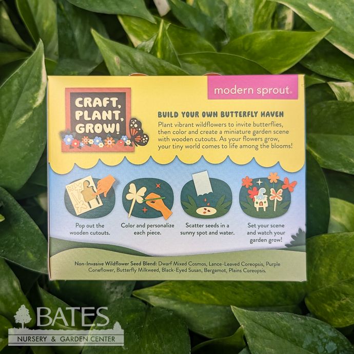 Butterfly Story Garden Flower Seed Kit
