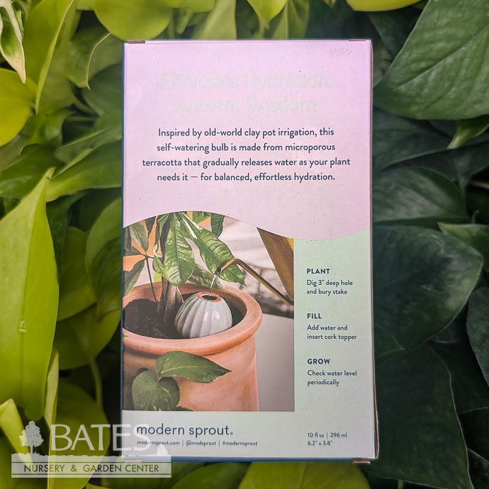 Watering Bulb - Terracotta w/Sage Glazed Top