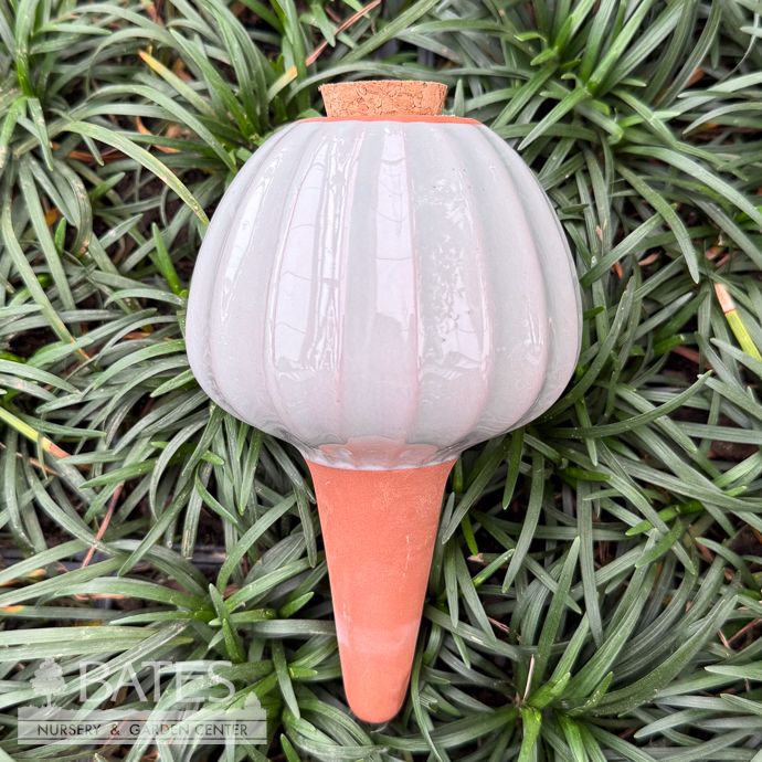 Watering Bulb - Terracotta w/Sage Glazed Top
