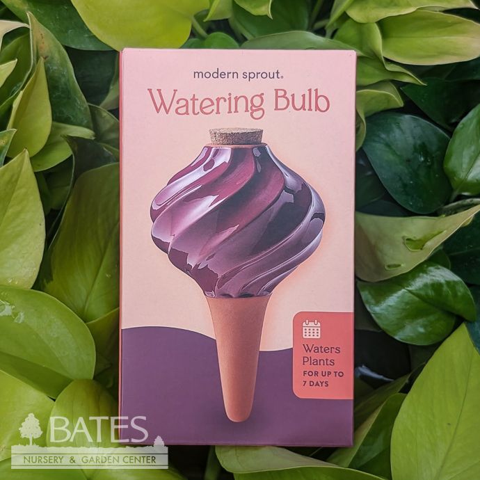 Watering Bulb - Terracotta w/Plum Glazed Top