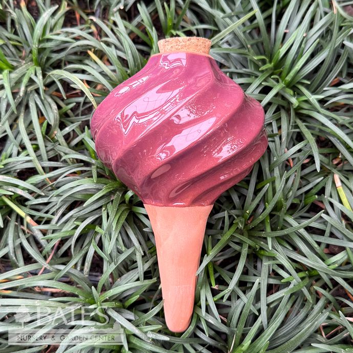 Watering Bulb - Terracotta w/Plum Glazed Top