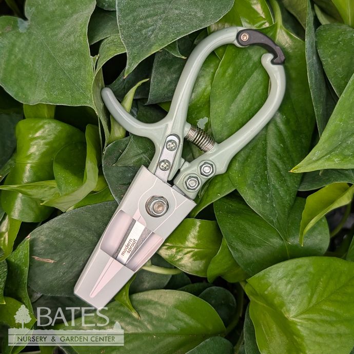 Garden Shears w/Thumb Rest - Sage Modern Sprout