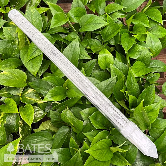 Pole Plastic Fillable 1.4x23" add Moss for Houseplants / Vines Arcadia