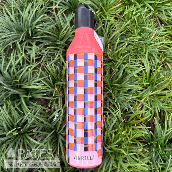 Umbrella Vinerella Water Bottle - Gingham Pink