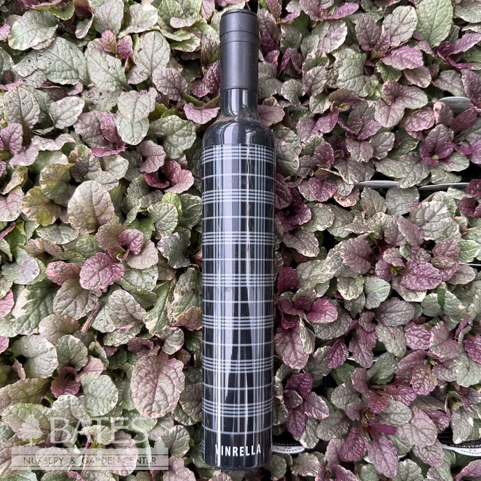 Umbrella Vinrella Wine Bottle - Black Plaid