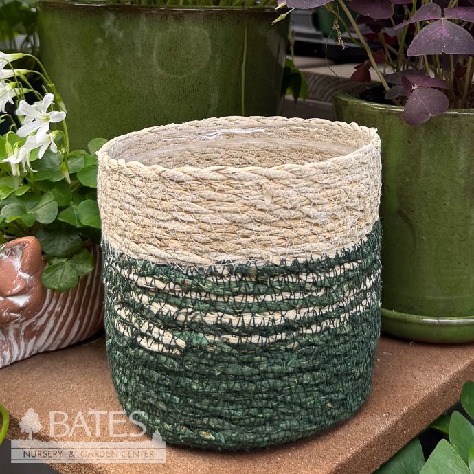 Pot Seagrass Handwoven 2-Tone Xsm 4x4 Ivory &amp; Green