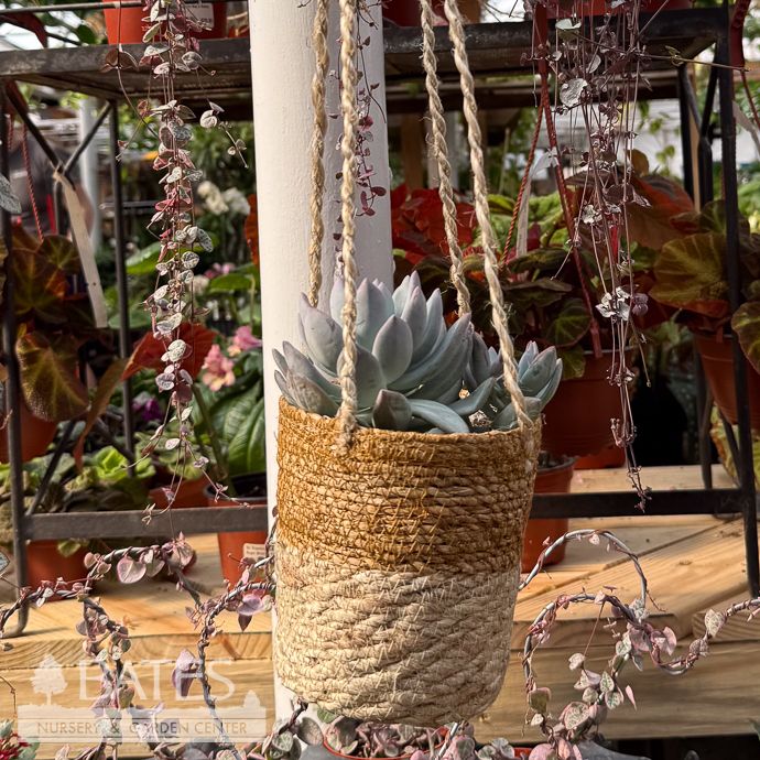 Pot Hanging Hogla &amp; Jute Potcover 2-Tone Sml 4x4