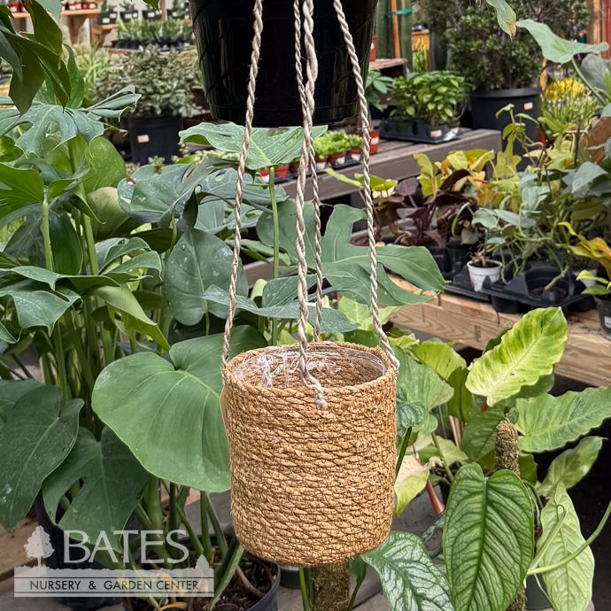 Pot Hanging Hogla Seagrass Brown Potcover  Sml 4x4