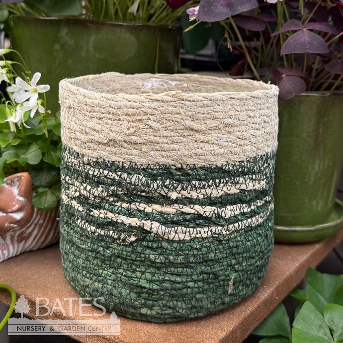 Pot Seagrass Handwoven 2-Tone Sml 5x5 Ivory &amp; Green