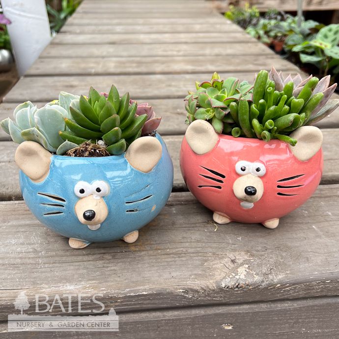 5P Ceramic Mouse w/ Succulents