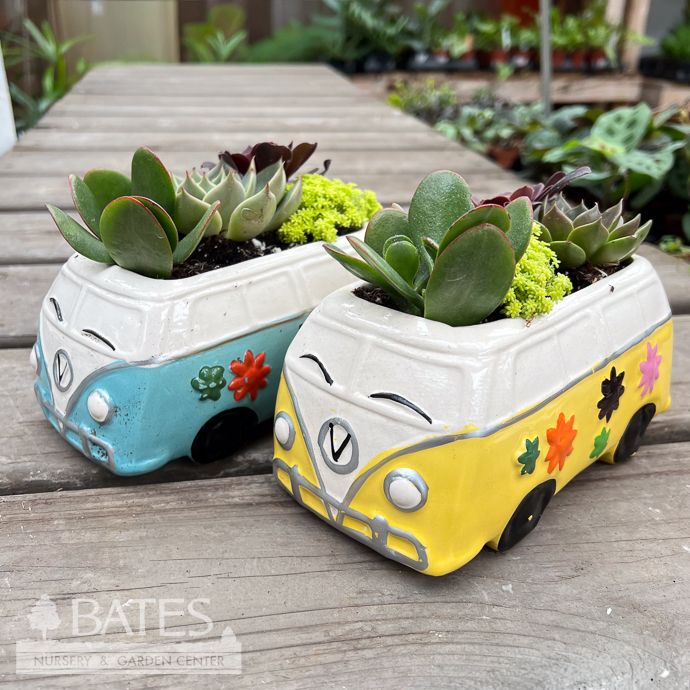 VW Bus w/Succulents