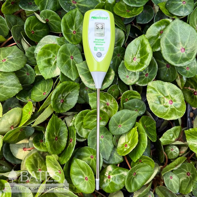 Digital Moisture Meter Luster Leaf