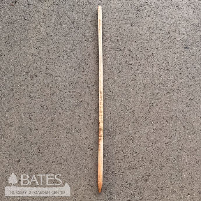 4ft  Hardwood Stake 1" /Tomato Stake EACH Blue Ribbon