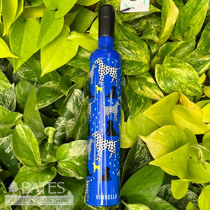 Umbrella Vinrella Wine Bottle - Spot On