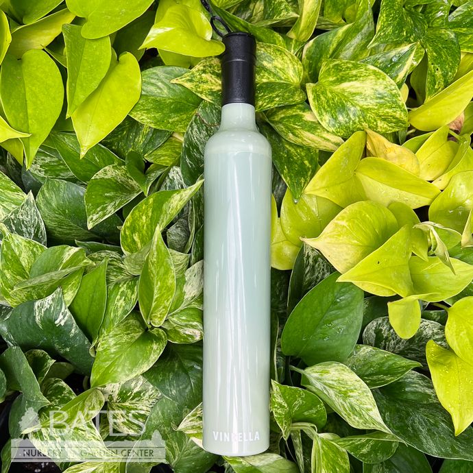 Umbrella Vinrella Wine Bottle - Sage