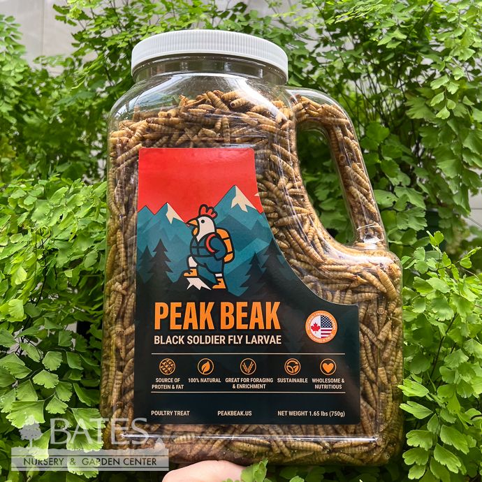 Peak Beak Dried Poultry Treats 750g/26oz  Oberland