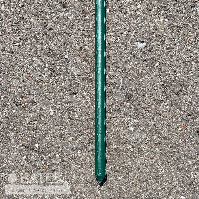 5' Vinyl Steel Stake Green / Tomato Stake EACH Gardener Select