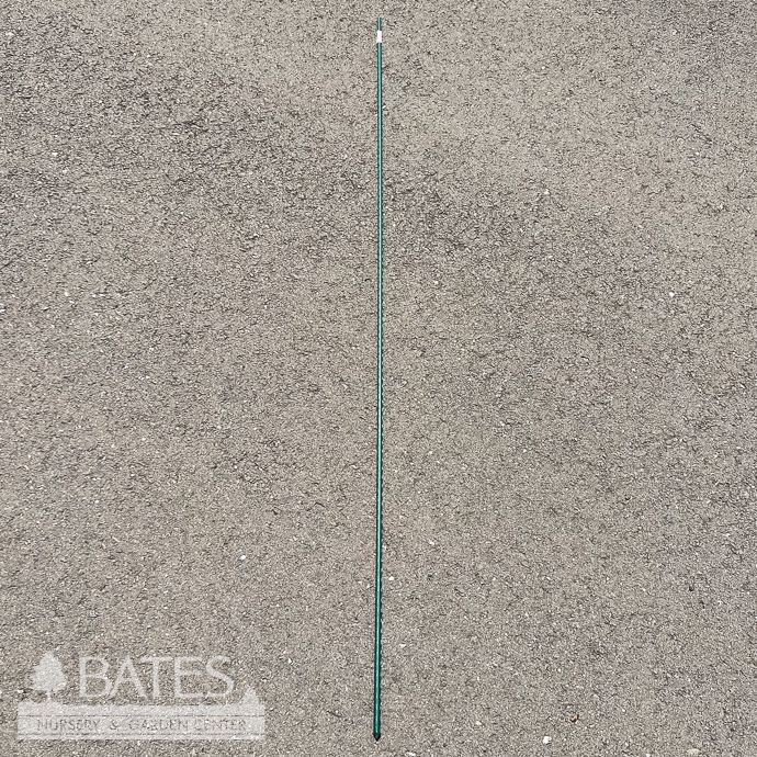 5' Vinyl Steel Stake Green / Tomato Stake EACH Gardener Select