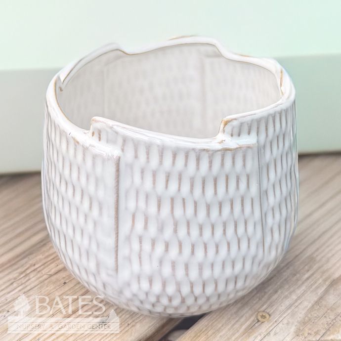 Pot Poppins Wrap Lrg 6.5x6 White
