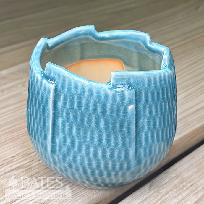 Pot Poppins Wrap Sml 5.5x5 Artic Blue