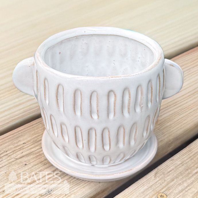 Pot Aberdeen Vertical Grooves  w/2 Handles Sml 7x5 Creamy White