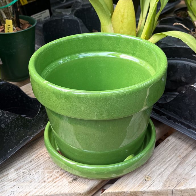 Pot Glazed Standard w/att Saucer Med 6.75x5.5 Grass Green