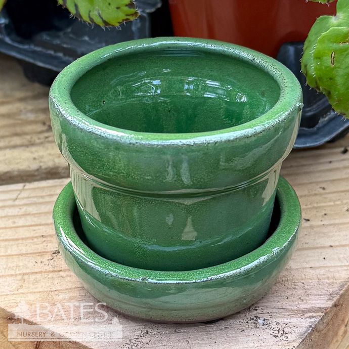 Pot 2" Glazed Standard w/att Saucer 2.75x2 Asst
