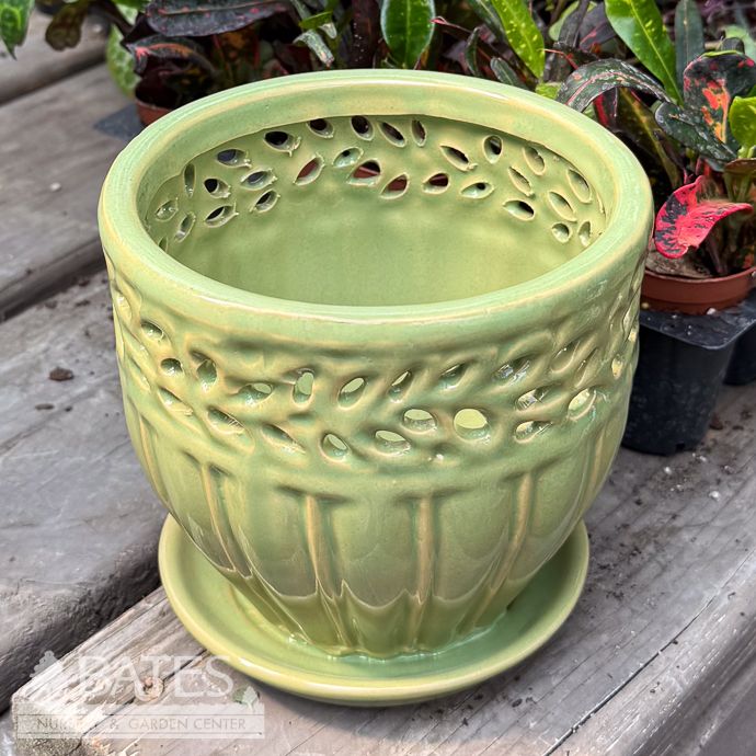 Pot Orchid Lace Ring 5x5 Grass