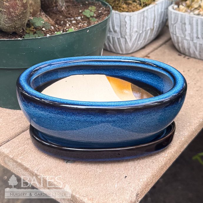 Pot Bonsai Pot w/Saucer Sml 6.5x4.75 Asst