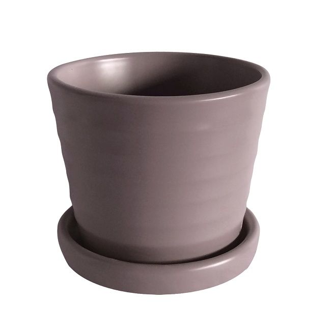 Pot Mini Ribbed w/att Saucer 3x2.75 Asst
