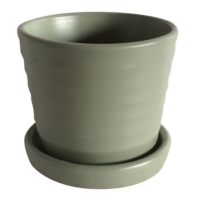 Pot Mini Ribbed w/att Saucer 3x2.75 Asst