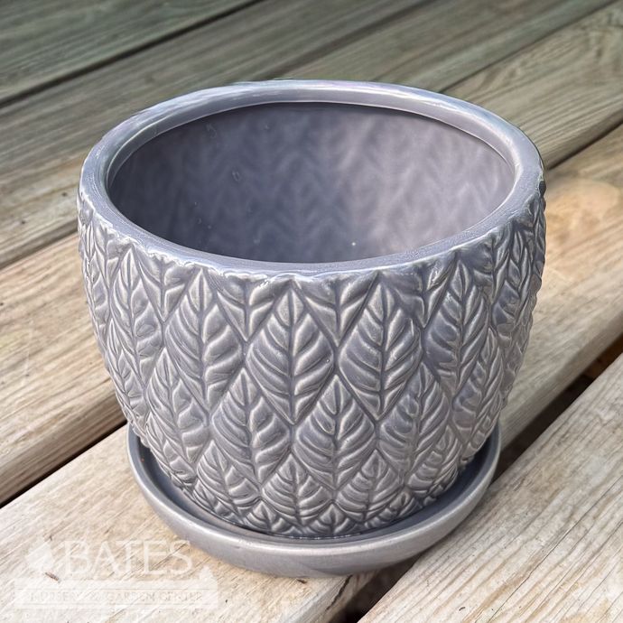 Pot Sherborn Embossed Leaves w/att Saucer 7x6 Titanium