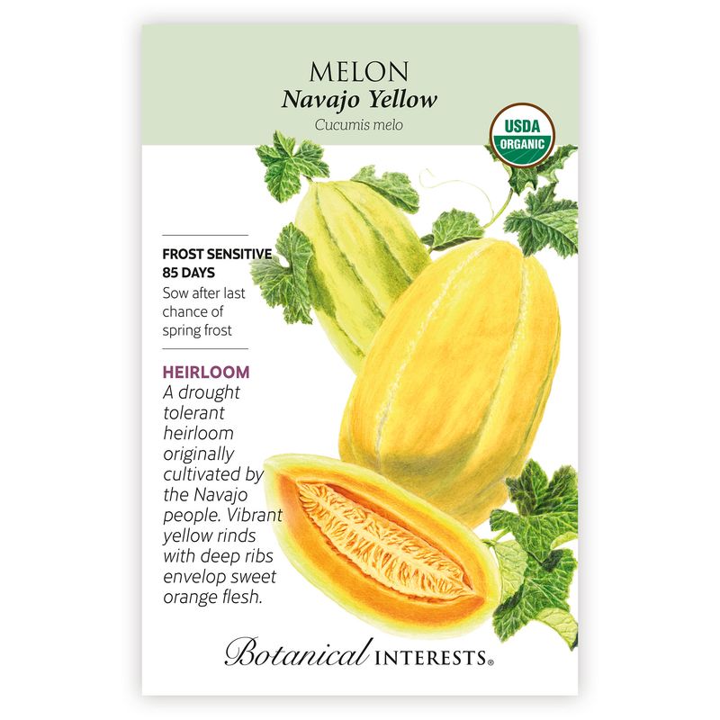 Seed Veg Melon Navajo Yellow Organic Heirloom - Cucumis melo