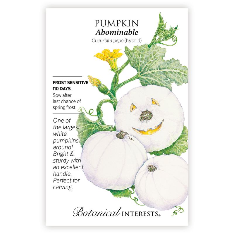 Seed Veg Pumpkin Abdominable hybrid - Cucurbita maxima