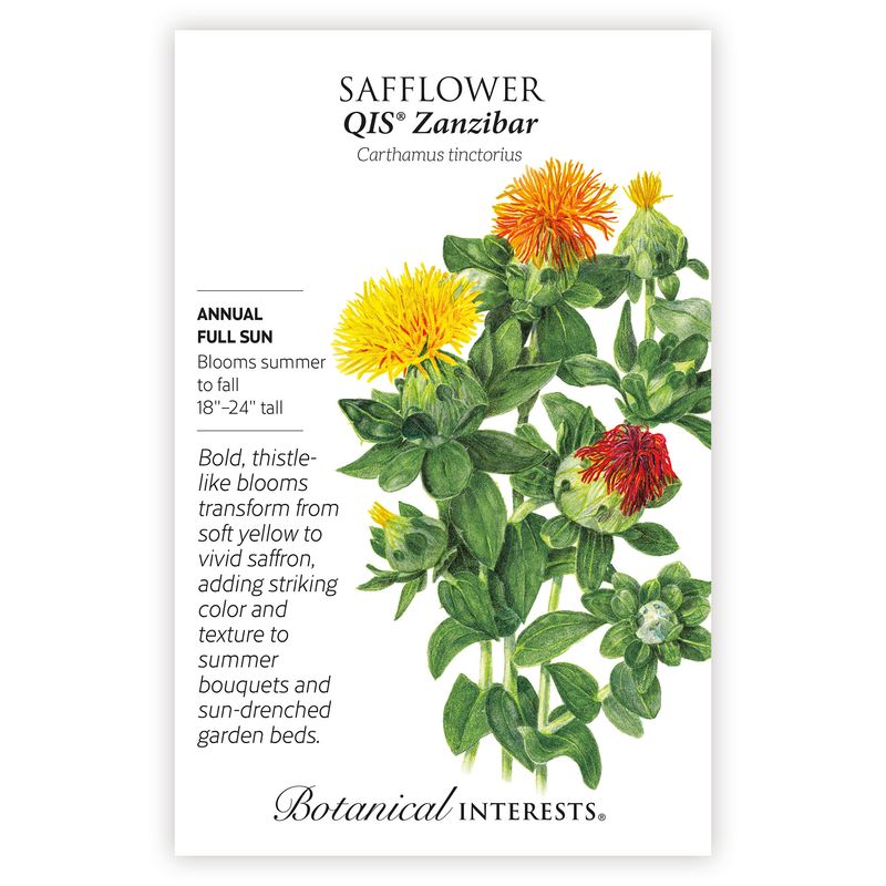 Seed Flwr Safflower QIS Zanzibar Organic - Helianthus annus (hybrid)
