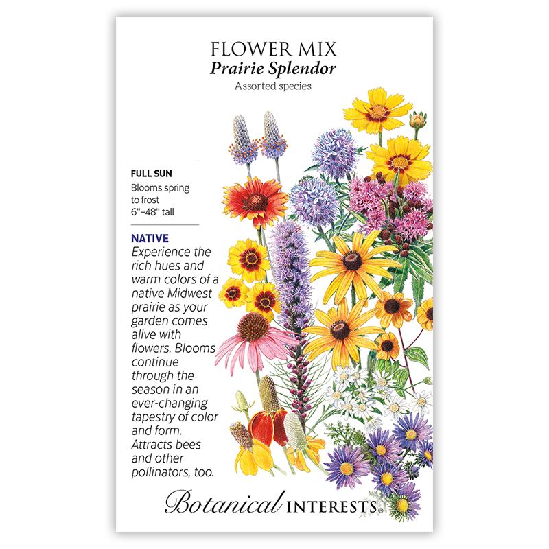 Seed Flower Mix Prairie Splender - assorted - Lrg Pkt