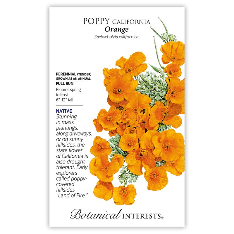 Seed Poppy California Orange - Lrg Pkt