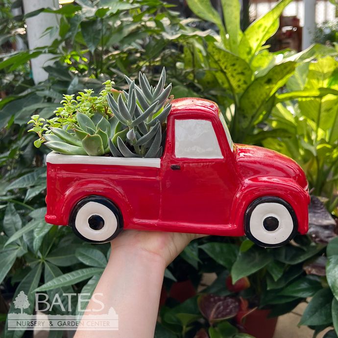 10p Vintage Pickup Truck / Succulent