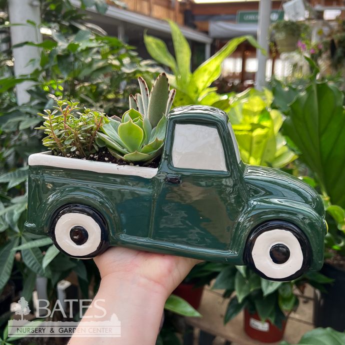10p Vintage Pickup Truck / Succulent