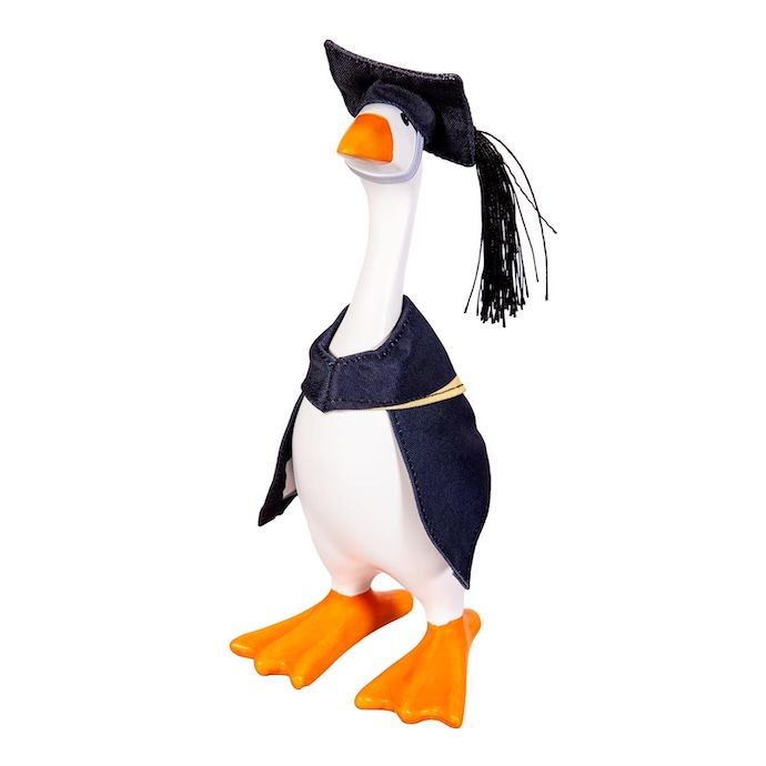 Gordy the Desktop/ Table Goose Graduation - Outfit Only