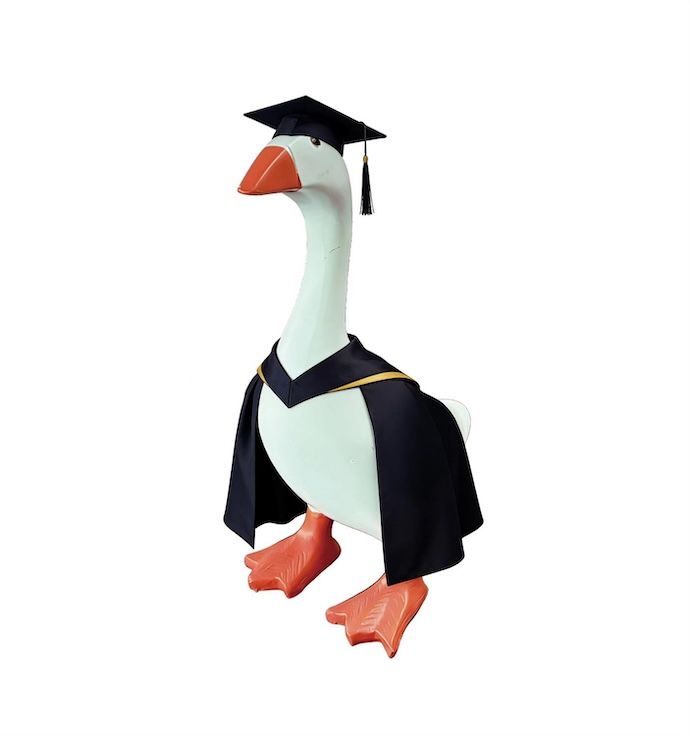 Gordy the Desktop/ Table Goose Graduation - Outfit Only