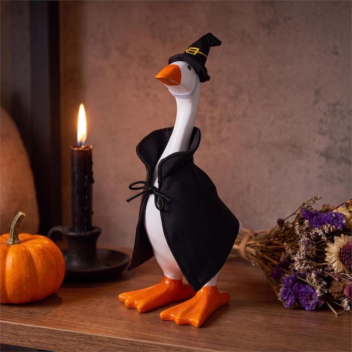 Gordy the Desktop/ Table Goose Halloween Witch/ Wizard - Outfit Only