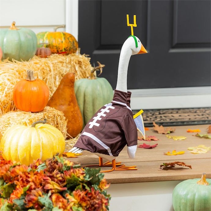 Giddy the Goose Football Fan - Outfit Only