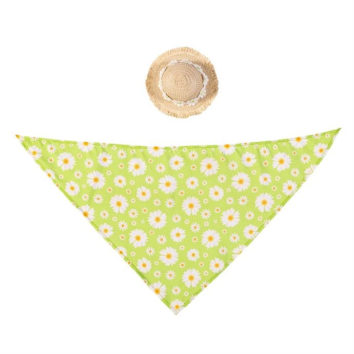 Giddy the Goose/ Glammy Flamingo Sunny Daisy Accessory Set - Accessories Only