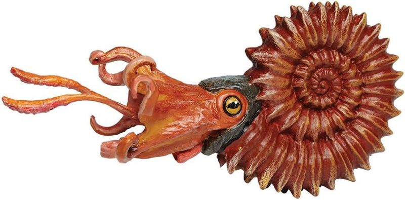 Ammonite (Safari)